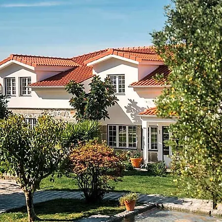 Quinta Da Victoria By Venimar Viana do Castelo